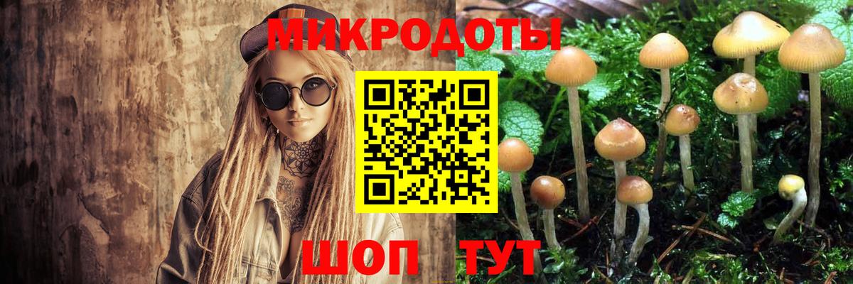 Псилоцибиновые грибы Psilocybine cubensis  Вход с VPN  Псилоцибиновые грибы мухоморы  Фрязино 